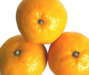 Image showing three oranges