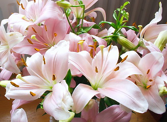 Image showing pink lily bouquet