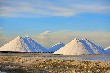 Image showing Salt