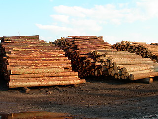 Image showing Lumber