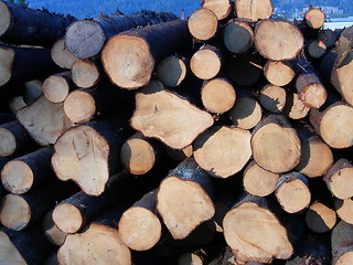 Image showing Lumber