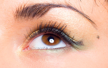 Image showing Girl's eye