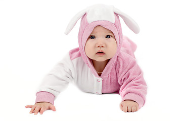 Image showing baby bunny