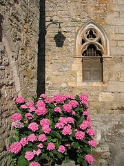 Image showing Old french church with hydrangea.