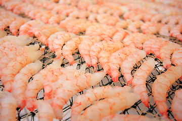 Image showing large amount of shrimps is drying in the sun 