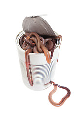 Image showing Can of worms