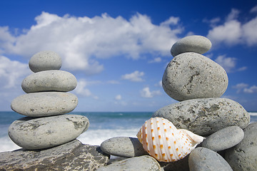 Image showing Seashell by The Shore