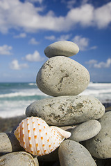 Image showing Seashell by The Shore