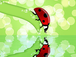 Image showing Ladybug on Leaf Looking at Water Reflection