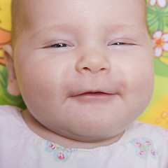 Image showing Baby Portrait