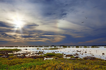 Image showing Bonaire lake