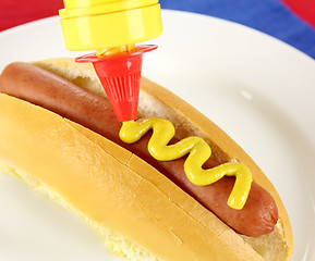 Image showing Mustard On Hot Dog