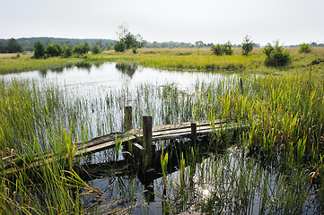 Image showing The bridge across the stream 