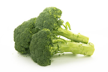 Image showing Broccoli isolated on white background 