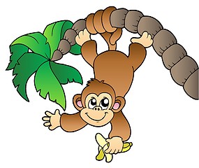 Image showing Monkey hanging on palm tree