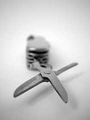 Image showing Pocket Knife