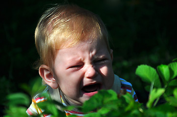 Image showing Crying child