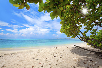 Image showing Baby beach