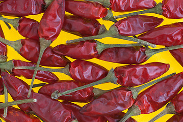 Image showing Red chilli peppers