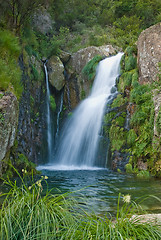 Image showing Waterfall