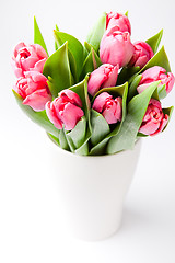 Image showing Pink tulips