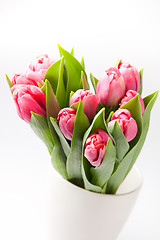 Image showing Pink tulips