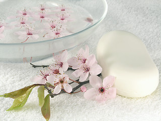 Image showing home spa - a litte pink flowers