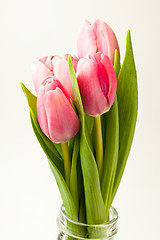 Image showing Pink tulips