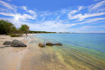 Image showing Baby beach