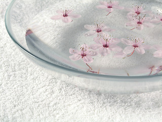 Image showing home spa - a litte pink flowers