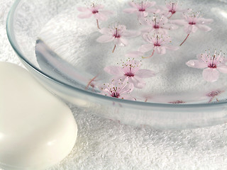 Image showing home spa - a litte pink flowers