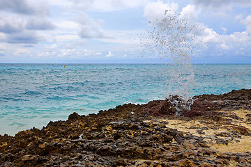 Image showing Blowhole