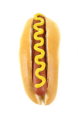 Image showing Hot Dog