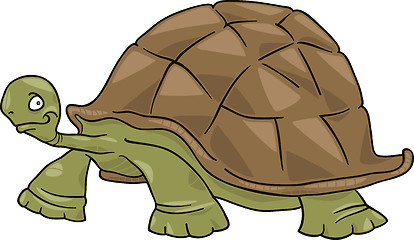 Image showing big turtle