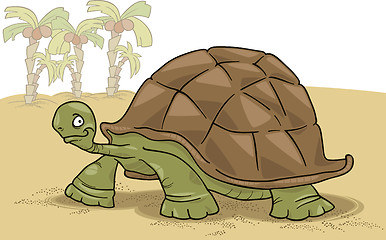 Image showing big turtle