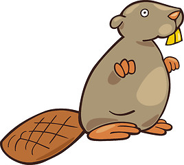 Image showing Beaver