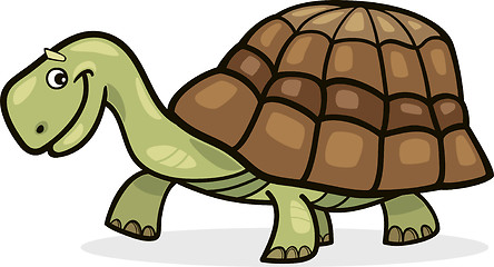 Image showing Turtle