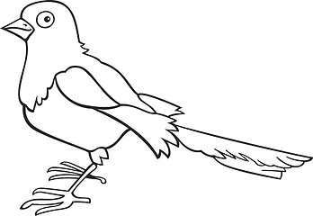Image showing Magpie for coloring book