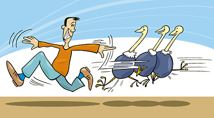 Image showing Man and ostriches