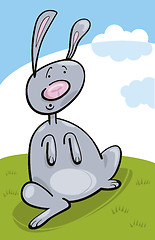 Image showing Rabbit