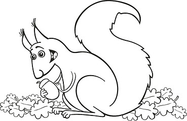 Image showing Squirrel with nut for coloring book