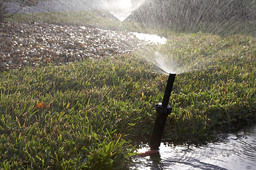 Image showing Water sprinkler