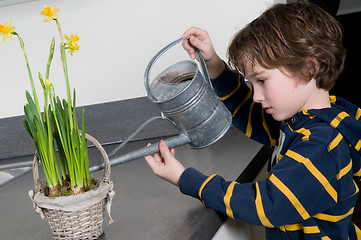 Image showing Watering the flowers