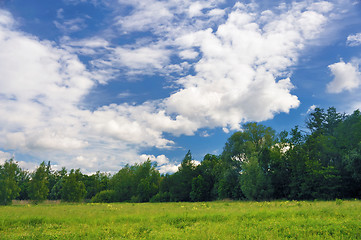 Image showing Landscape of a green field with trees