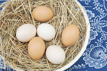 Image showing Fresh farm eggs in scuttle with hay