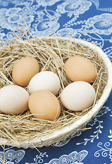 Image showing Fresh farm eggs in scuttle with hay