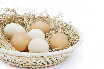 Image showing Fresh farm eggs in scuttle with hay
