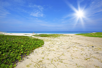 Image showing Boca Grandi beach