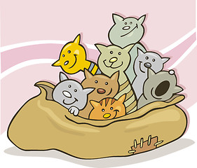 Image showing Cats in sack