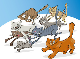 Image showing Running cats